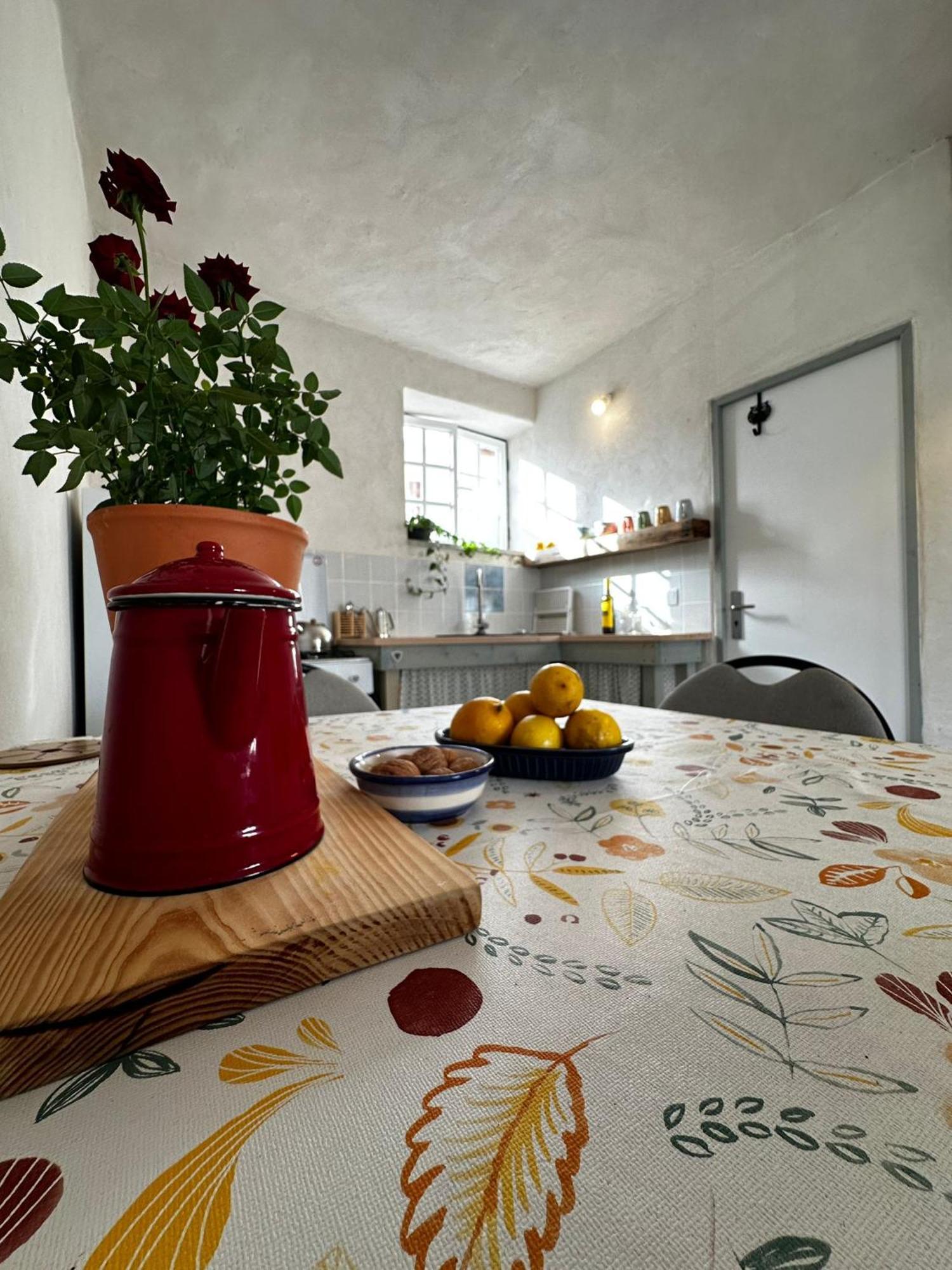 Bed and Breakfast Casa Trilho The Gaios Tábua Exteriér fotografie